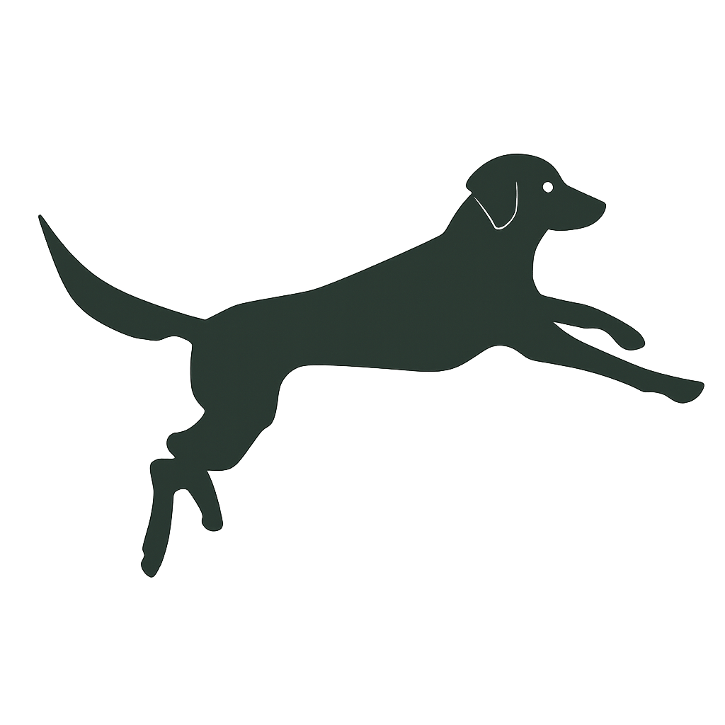 Hundephysiotherapie Hamburg-Wandsbek